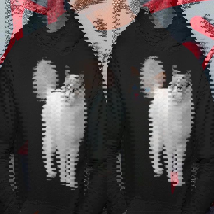 ラグドール 猫のポートレート ラグドール キャットヘッド ラグドール 猫の顔 パーカー 面白い贈り物