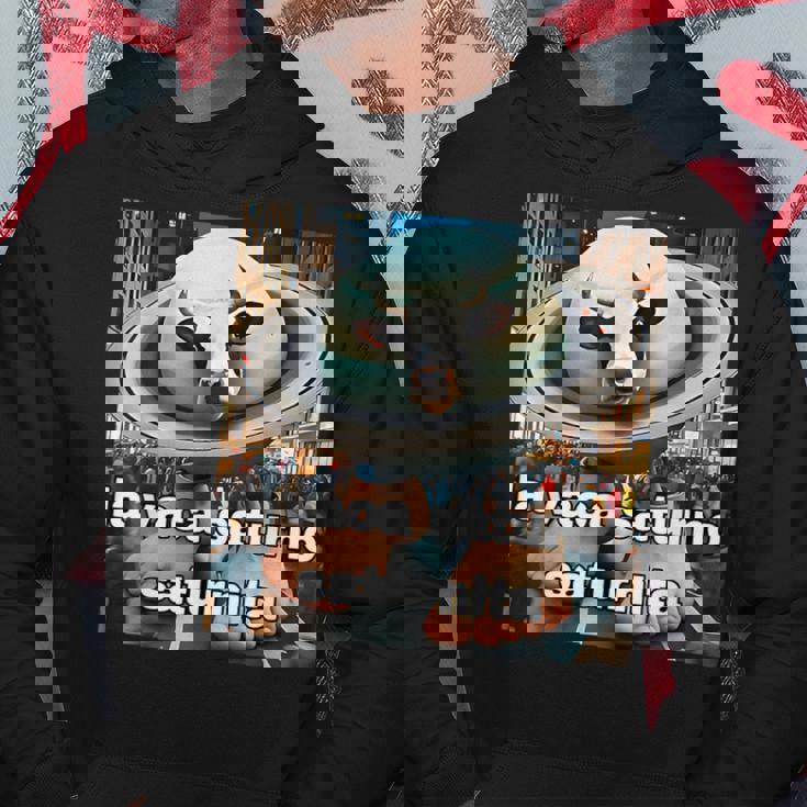 ラヴァカサトゥルノサトゥルニタ-イタリアンブレインロットミーム パーカー 面白い贈り物