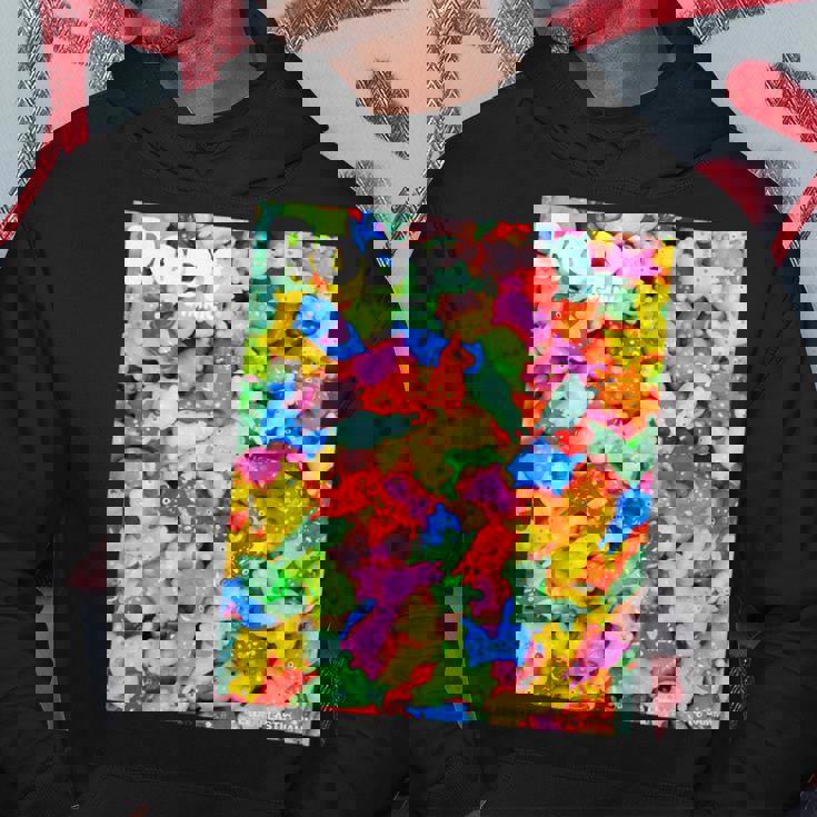 ロディ ロディがいっぱいフォトt パーカー 面白い贈り物