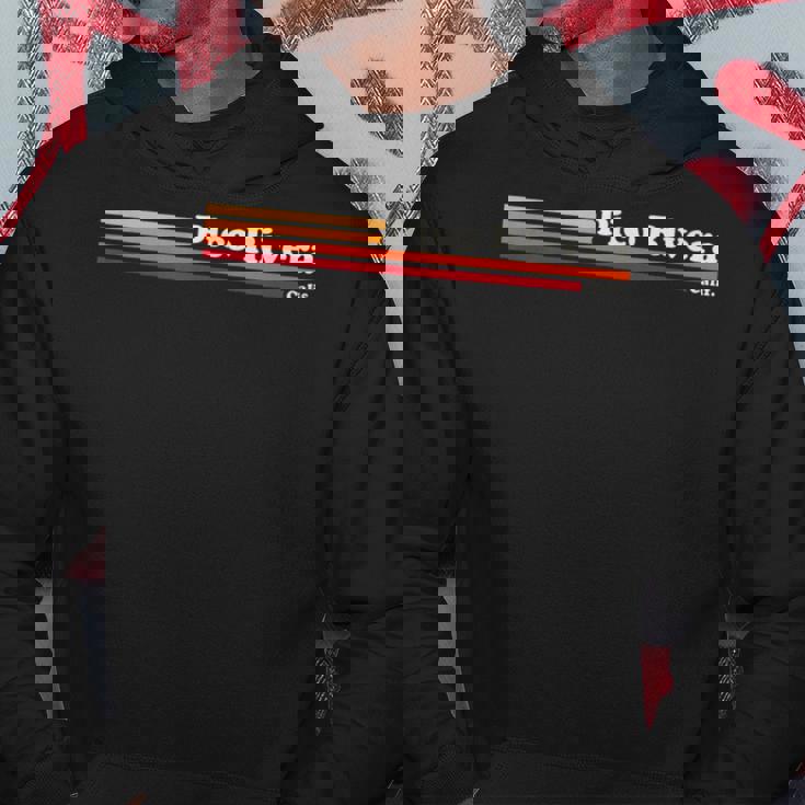 ヴィンテージ 1980年代グラフィックスタイル ピコ・リベラ カリフォルニア パーカー 面白い贈り物