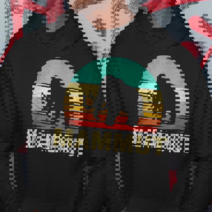 ヴィンテージ マムート サンセット レトロ パーカー 面白い贈り物