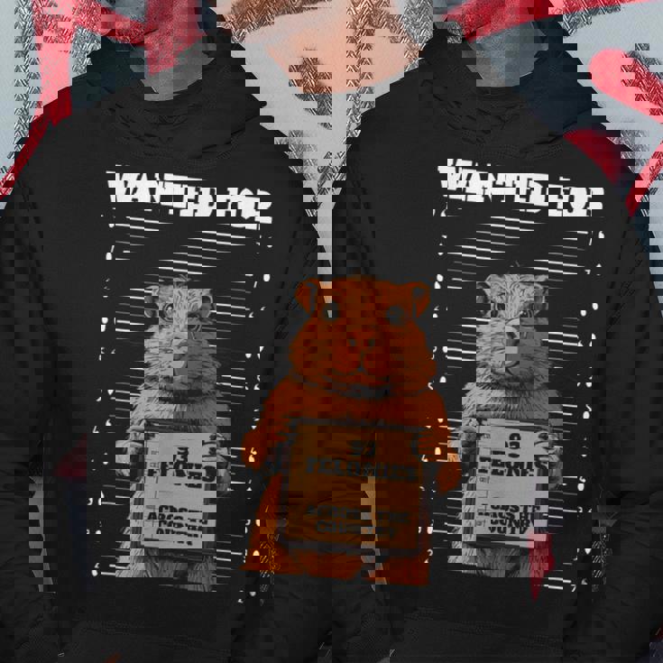 全国指名手配 重犯罪93件ハムスター パーカー 面白い贈り物