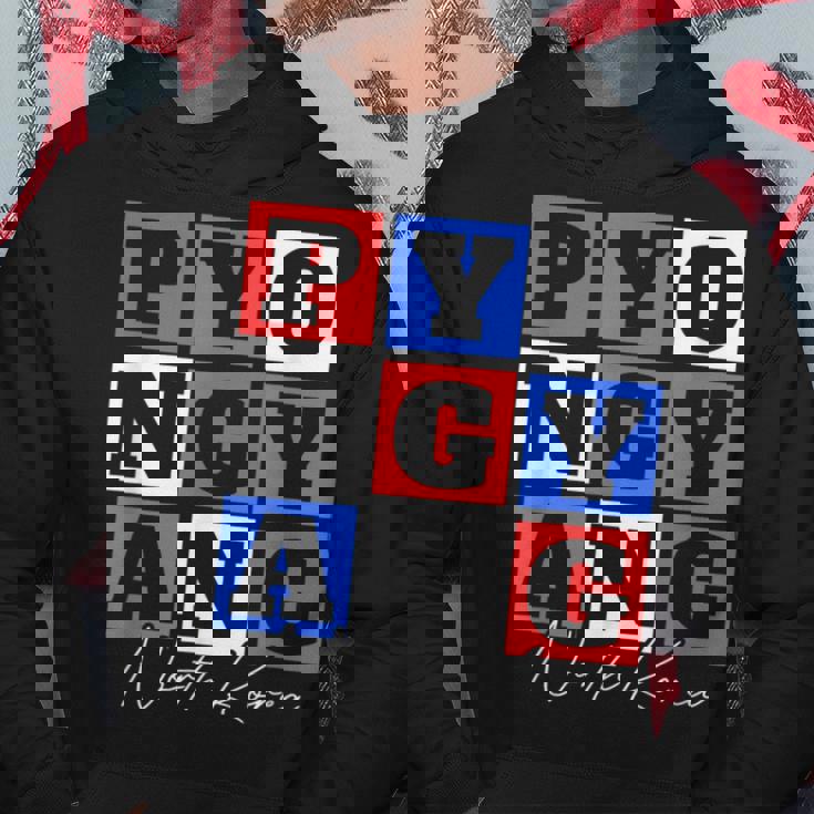 平壌 北朝鮮 旅行 バケーション お土産 パーカー 面白い贈り物