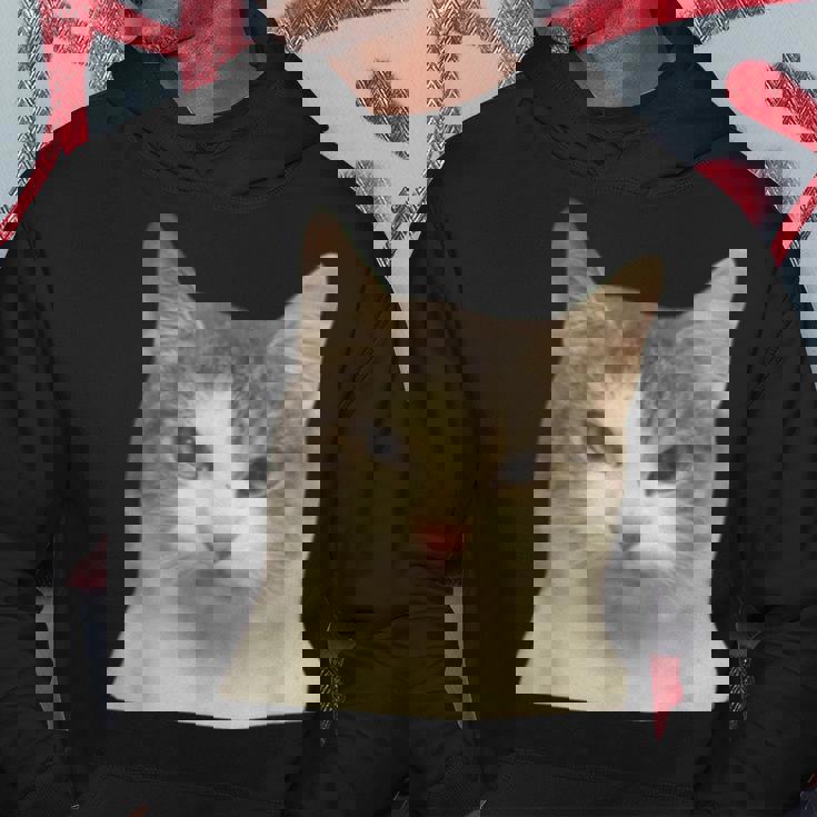 怒っている猫 リアル ミーム ウイルス インターネット パーカー 面白い贈り物