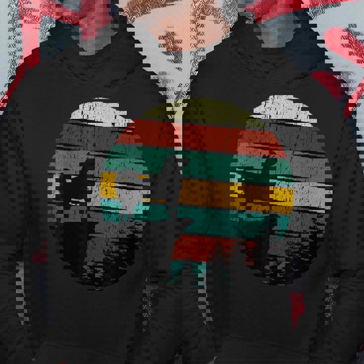 柴犬 グッズ 柴犬 犬ヴィンテージhiba Inu 柴犬 パーカー 面白い贈り物