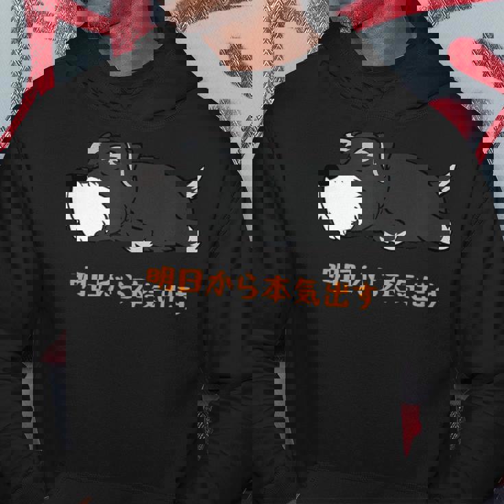 犬 おもしろ 明日から本気出すから 可愛い シュナウザー ミニチュアシュナウザー パーカー 面白い贈り物