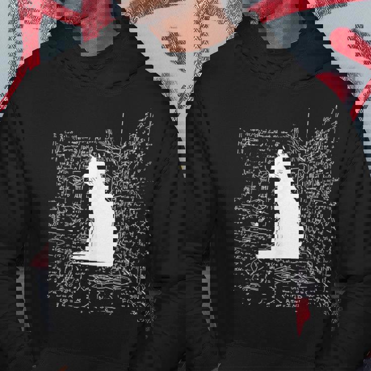 箱の中のシュレディンガーの猫 パーカー 面白い贈り物