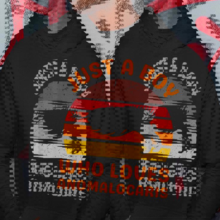 絶滅した節足動物アノマロカリスが大好きなただの少年 パーカー 面白い贈り物