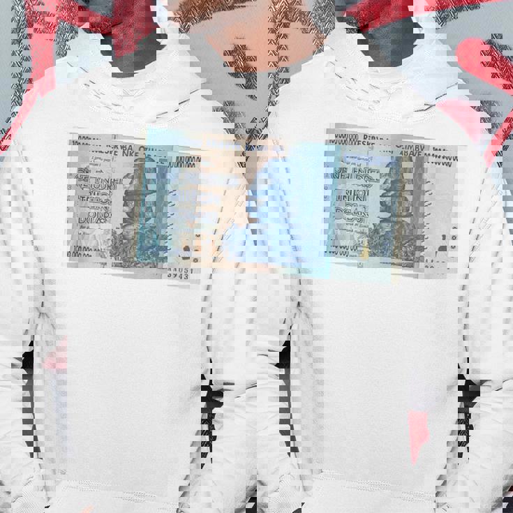 100兆 ジンバブエドル パーカー 面白い贈り物