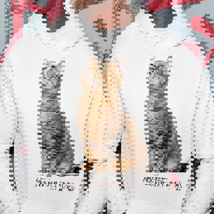 Mischief In Fur 猫写真 キジトラ 猫好き ネタ 猫しもべ 猫飼い 猫依存症 猫オーナー パーカー 面白い贈り物