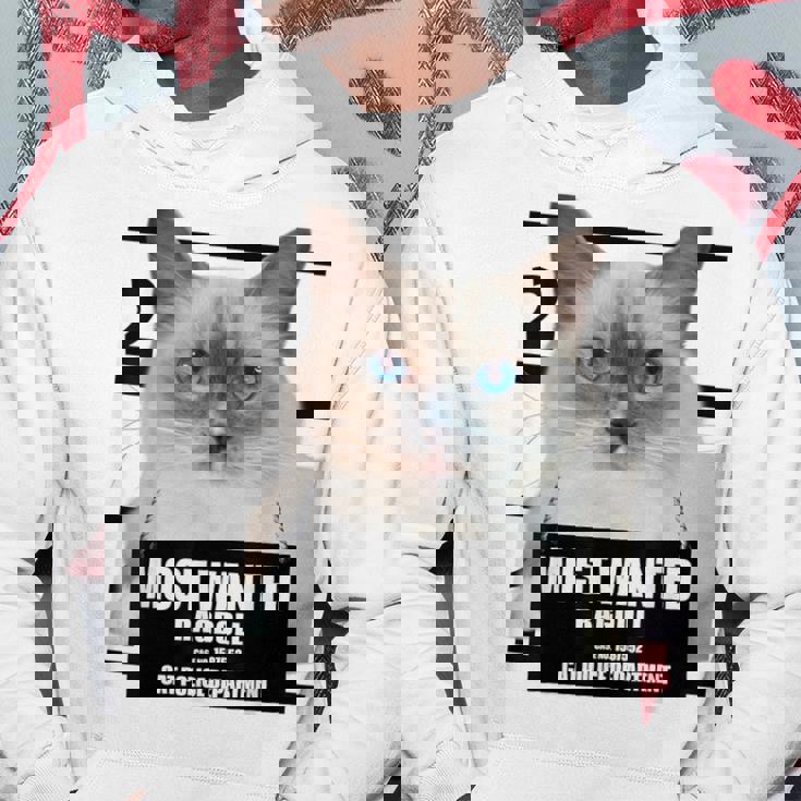 Most Wanted ラグドール ラグドール 猫 パーカー 面白い贈り物