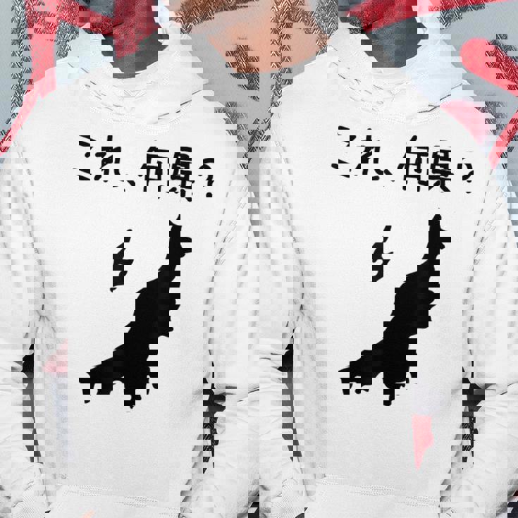 【これ、何県？】新潟県 都道府県 クイズ 小学生 遊び心 パズル 地図 シルエット 地理 先生 おもしろ 面白い ネタ パーカー 面白い贈り物