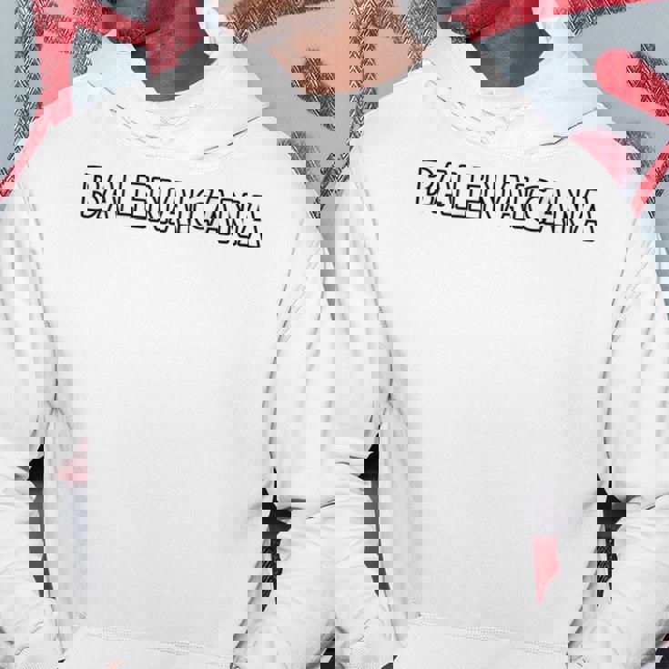 【バックプリント・背中側】Balenaicana《ばれないかな》ホワイト 白 ロゴ【変なt】ブランド パロディ 面白 パーカー 面白い贈り物