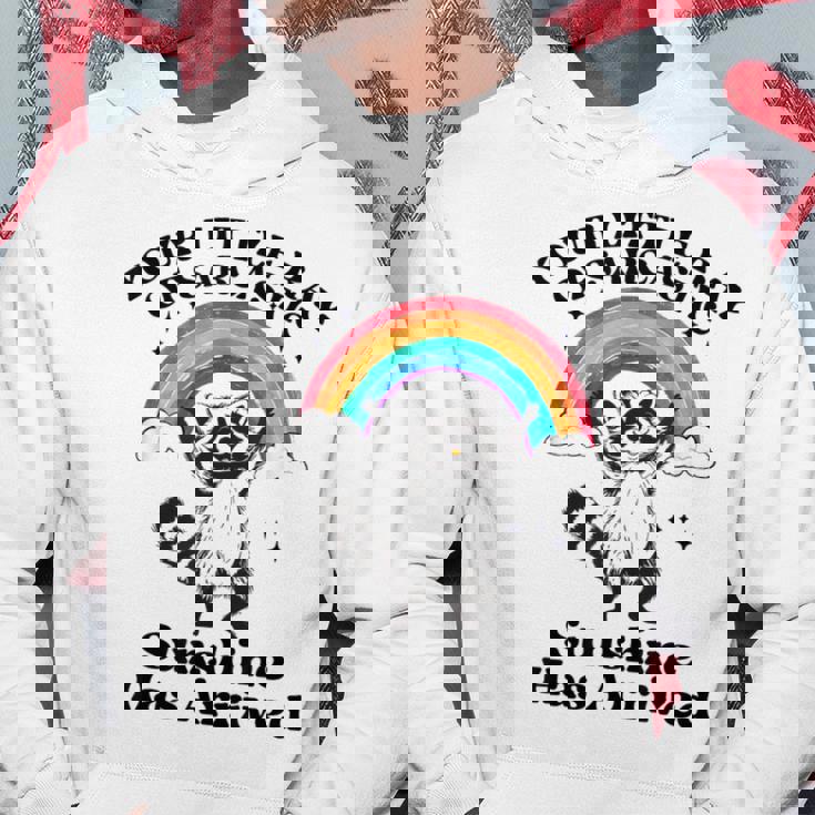 あなたの小さな皮肉な太陽の光はアライグマに到着しました パーカー 面白い贈り物