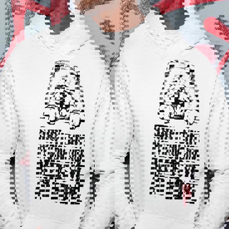 ごめんなさい、チャウチャウには家に私が必要です、チャウチャウのお父さん パーカー 面白い贈り物