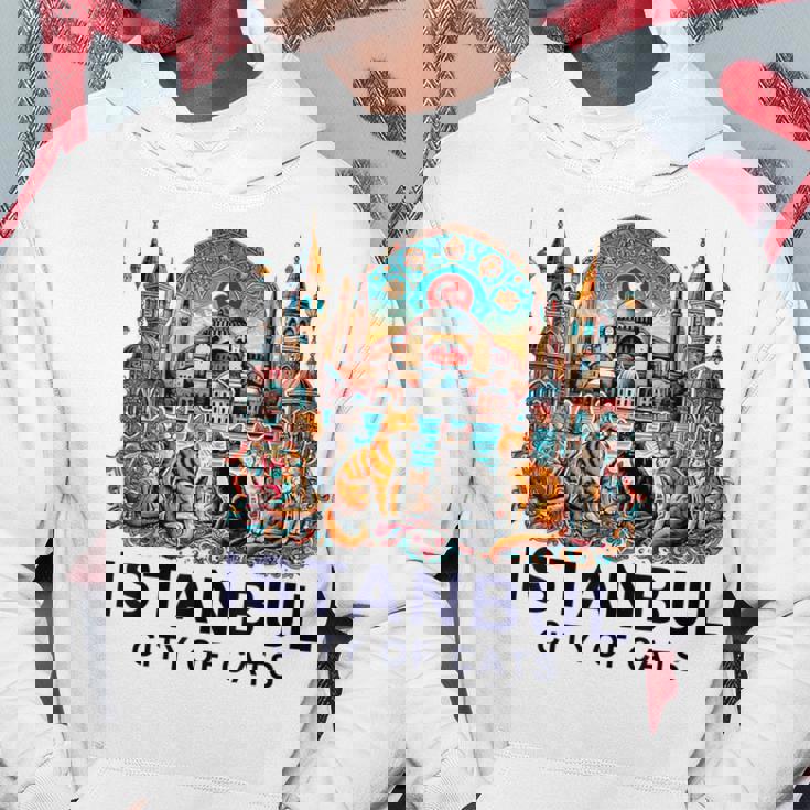 イスタンブール、トルコ 猫の街 Ii パーカー 面白い贈り物