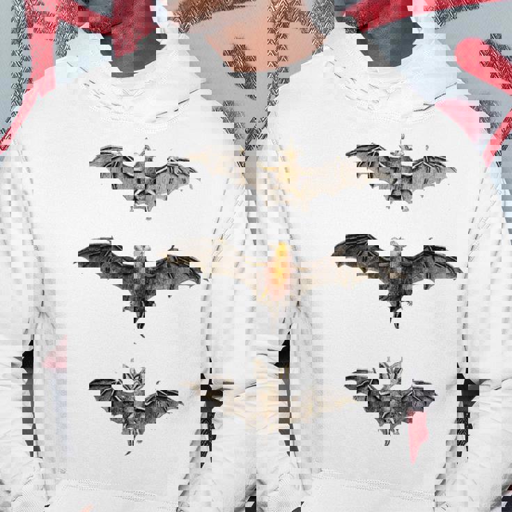 コウモリ 科学イラスト 描画 生物学 アート ハロウィン パーカー 面白い贈り物