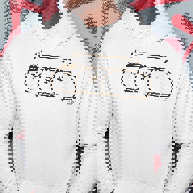 ネコこのゴロ バーン パーカー 面白い贈り物