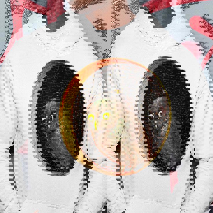 ヒエロニムス・ボス フクロウの大地の庭 パーカー 面白い贈り物