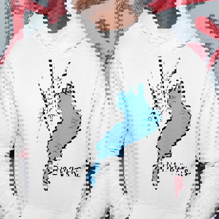 琵琶湖を止めようか大胆な日本のユーモア パーカー 面白い贈り物