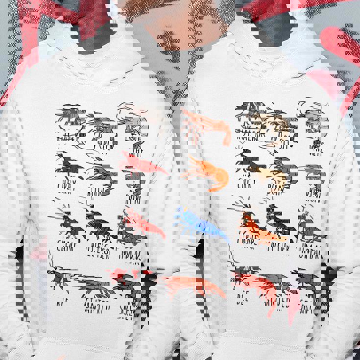 異なるタイプのエビの品種コレクション、かわいいエビ愛好家。 パーカー 面白い贈り物