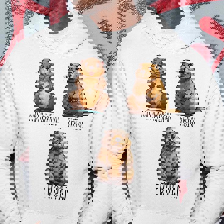 異なるタイプのビーバーズ品種コレクション、かわいいビーバーが大好き。 長袖tシャツ パーカー 面白い贈り物