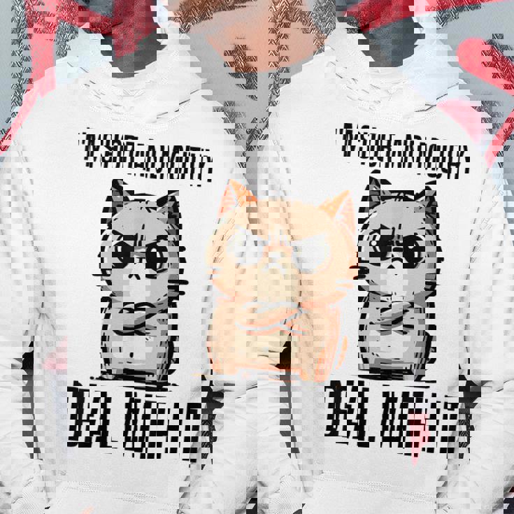 私は短気で口うるさいので、それを扱います。態度猫 パーカー 面白い贈り物