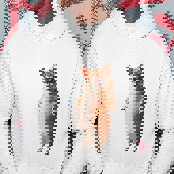 面白いtシャツ チワワ 犬 わがままボディ イヌ わんこ メンズ 犬好き グッズ おもしろ 面白い 服 ネタ 長袖tシャツ パーカー 面白い贈り物