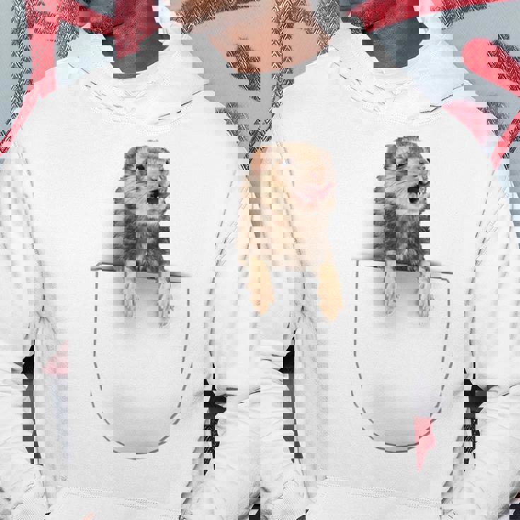 面白いペットフェレット ポケットの中のファニー フェレット パーカー 面白い贈り物