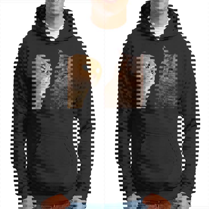 2匹の猫がミームを話す パーカー