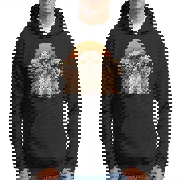 3匹のかわいい犬 ラサ・アプソ シーズー クール サングラス付き パーカー