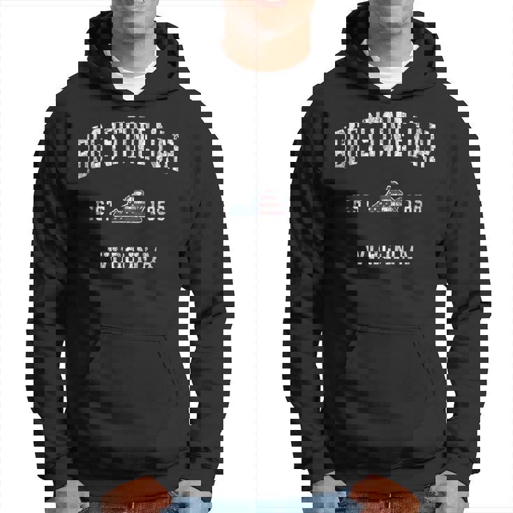 Bigtone Gap バージニア州バージニア州ヴィンテージアメリカ国旗デザイン パーカー