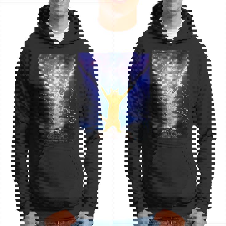 Cat Merch おかしな猫 稲妻 サンダーボルト オン マウンテン パーカー