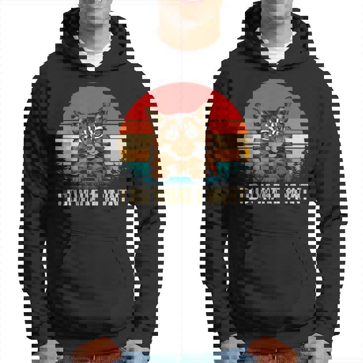 I Do What I Want Cat レトロ ヴィンテージ 面白い 猫好き パーカー