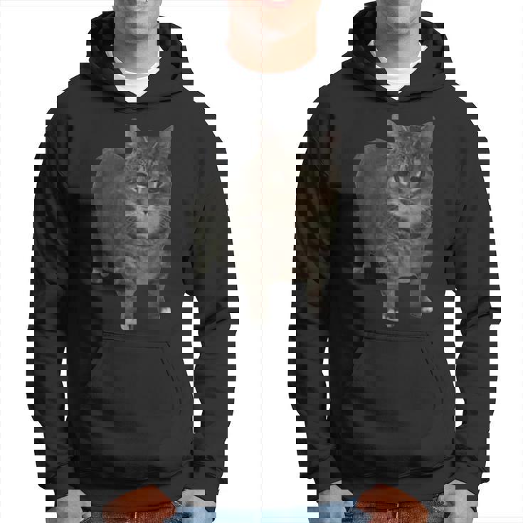 Oiia Oiia スピニングキャットミーム パーカー