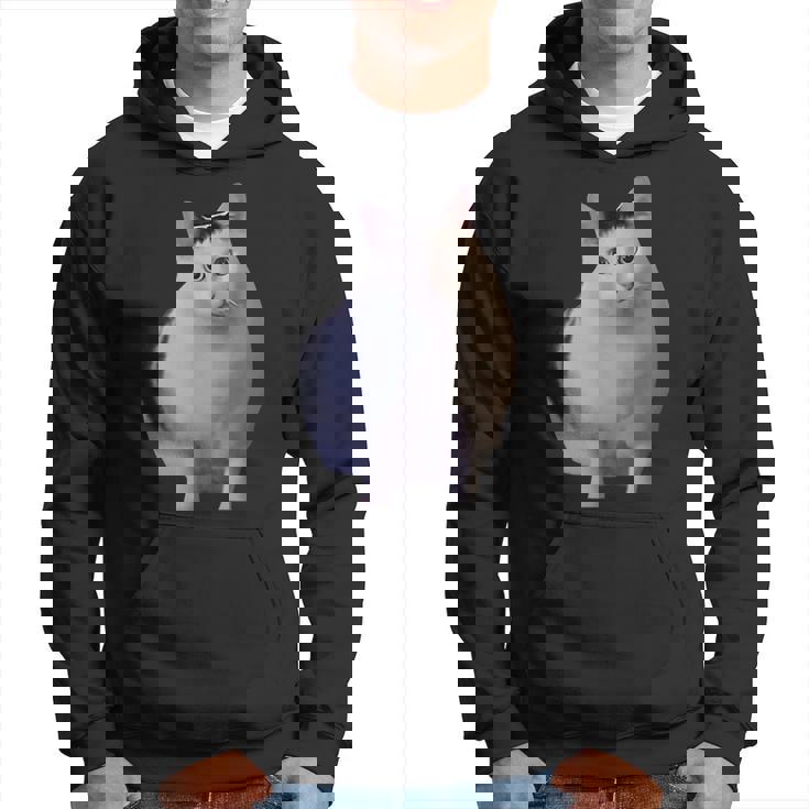 Meme Huh Catミームハァキャット面白い パーカー