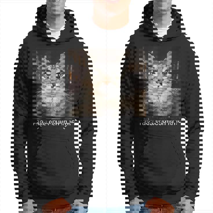 Rage Is Consuming Me 愚かな凝視猫ミーム パーカー