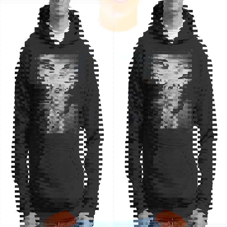 Ufo 遭遇 黄色 実験犬 自撮り 写真 エイリアンの侵略 パーカー