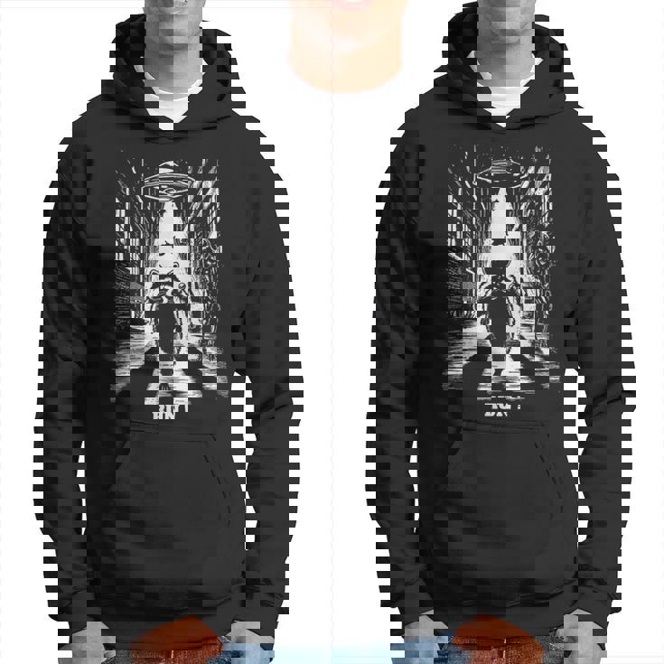 Ufoから逃げるアライグマ、Sfユーモア、エイリアンに追われる パーカー