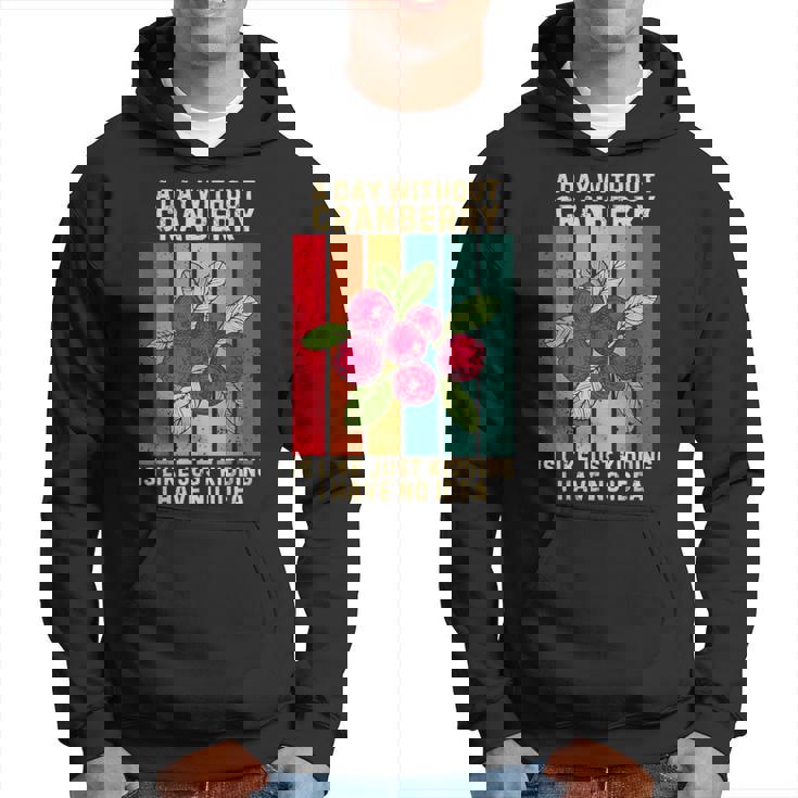 Vintage A Day Without Cranberry I Have No Idea クランベリー パーカー