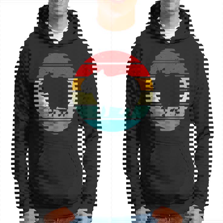 Vintage Retrounset Capybara パーカー