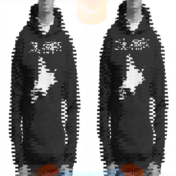 【これ、何県？】北海道 都道府県 クイズ 小学生 遊び心 パズル 地図 シルエット 地理 先生 おもしろ 面白い ネタ パーカー