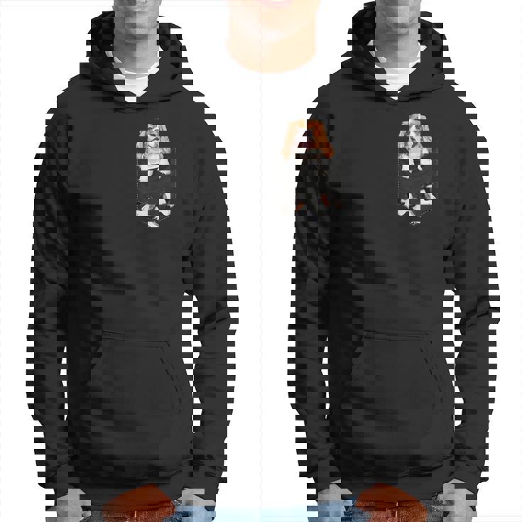 おかしなキャバリア王チャールズ・スパニエルがあなたのポケットに。 パーカー