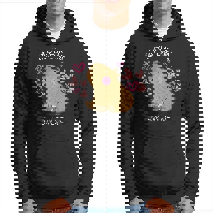 げっ歯類 面白いカピバラ カピバラアート メンズ レディース キッズ パーカー