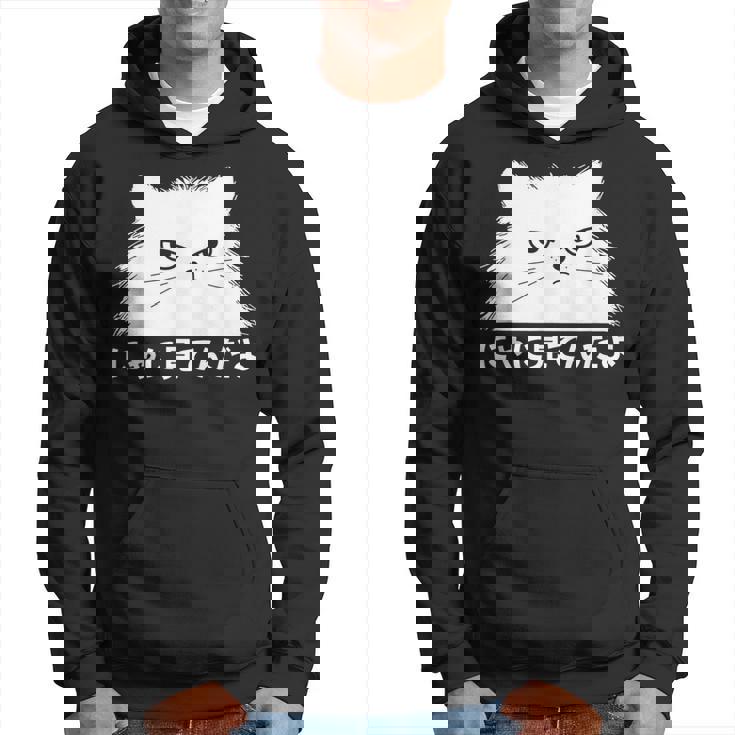 にゃに見てんだよ おもしろ 猫好き 猫飼い 猫 ネコ ねこ 猫 くろねこ好き 面白い サプライズ パーカー