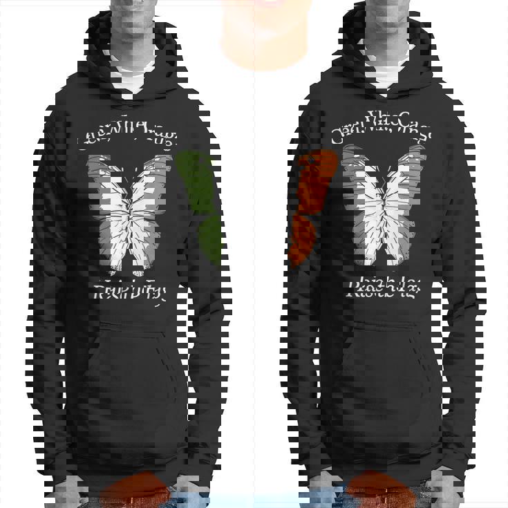 アイルランド、緑、白、オレンジの国旗を誇り パーカー