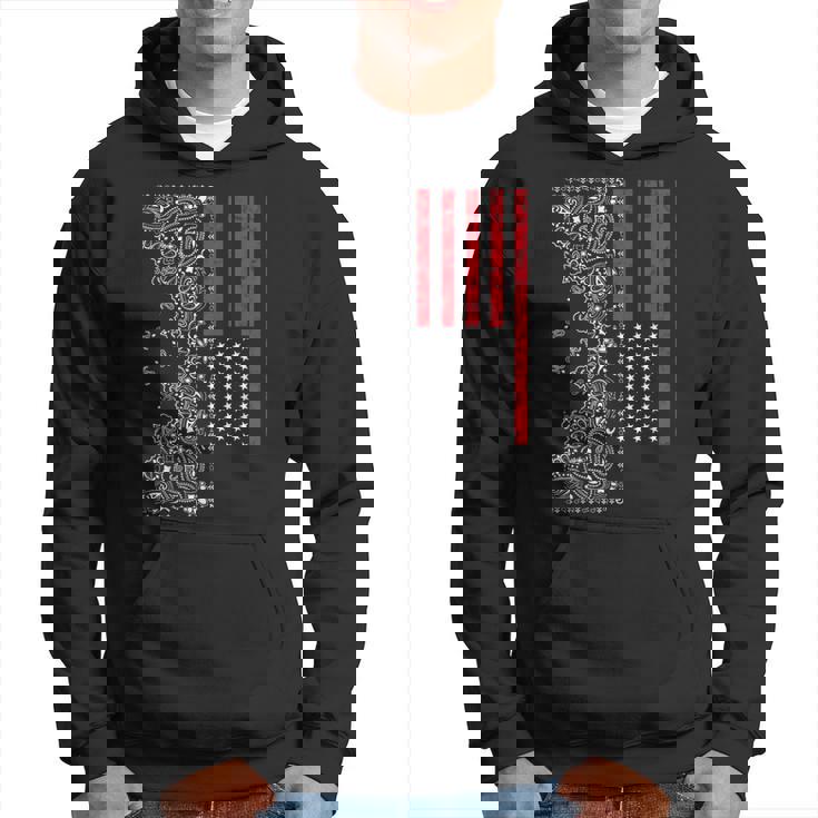 アメリカ、愛国的なアメリカ国旗、ペイズリー、バンダナプリント。 パーカー