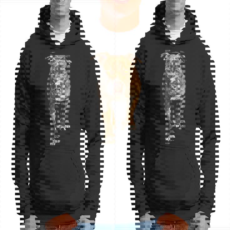 アメリカンピットブルテリア パーカー