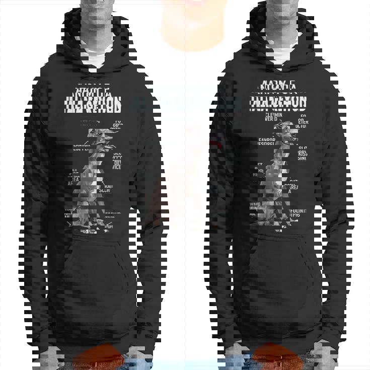 イタリアングレイハウンドの解剖学 パーカー