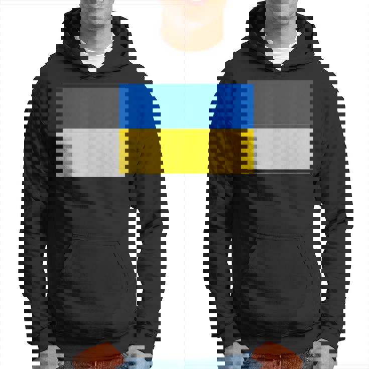 ウクライナ国旗デザイン パーカー